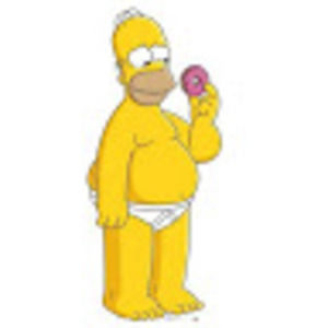 Meet your Posher, Joey